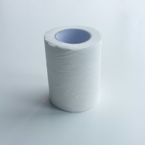 小卷纸 宾馆酒店纸巾